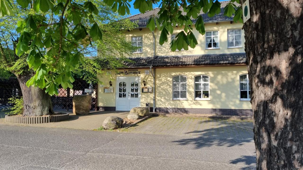 Wirtshaus & Pension "Zum Hammer" Neustadt  Bagian luar foto